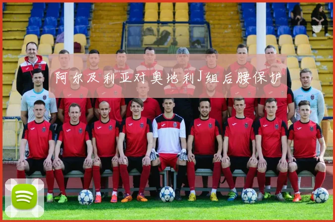 阿尔及利亚对奥地利J组后腰保护