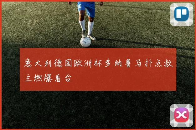 意大利德国欧洲杯多纳鲁马扑点救主燃爆看台