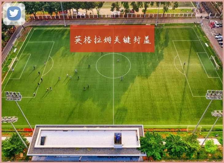 开云线上平台 - 英格拉姆关键封盖
