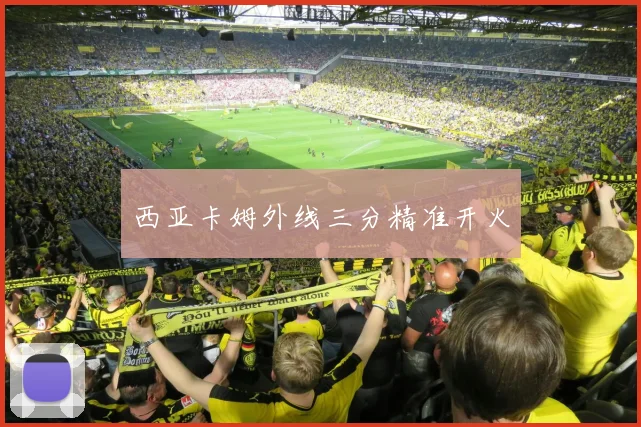 开云线上平台 - 西亚卡姆外线三分精准开火