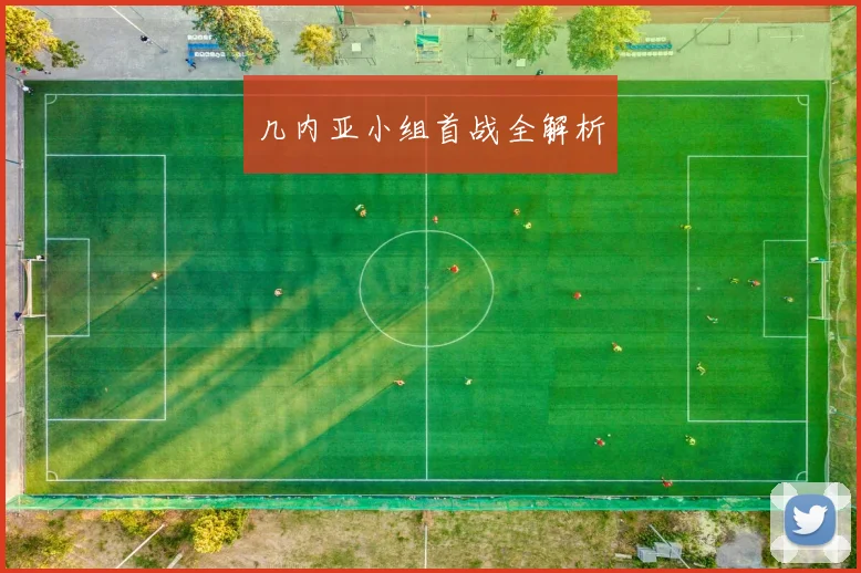 开云线上平台 - 几内亚小组首战全解析