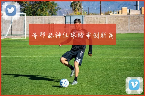 开云线上平台 - 齐耶赫神仙球赔率创新高