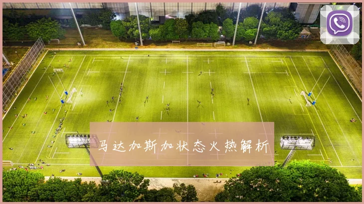 开云线上平台 - 马达加斯加状态火热解析