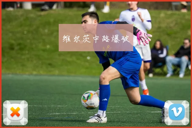 开云线上平台 - 维尔茨中路爆破