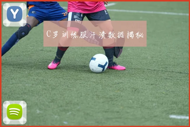 开云线上平台 - C罗训练服汗渍数据揭秘