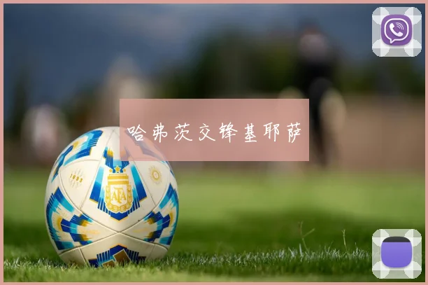开云线上平台 - 哈弗茨交锋基耶萨