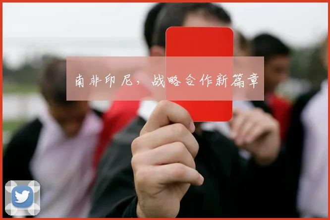 开云线上平台 - 南非印尼，战略合作新篇章