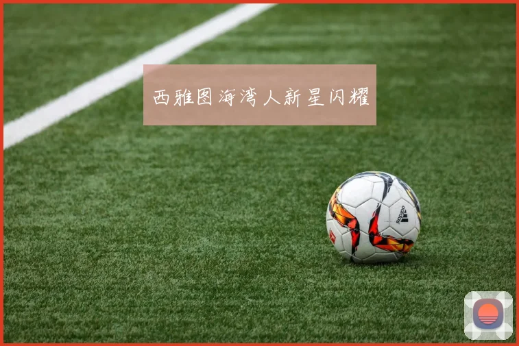 开云线上平台 - 西雅图海湾人新星闪耀