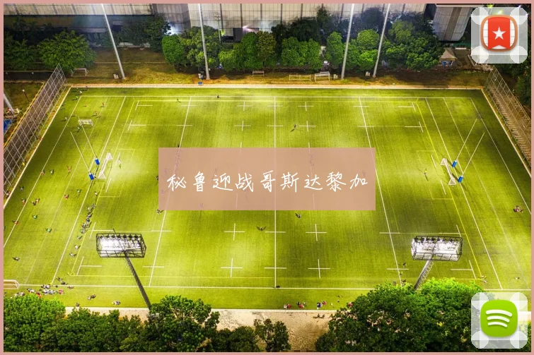 开云线上平台 - 秘鲁迎战哥斯达黎加