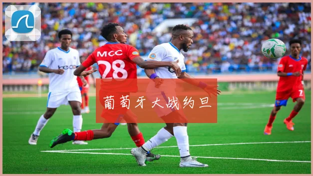 开云线上平台 - 葡萄牙大战约旦