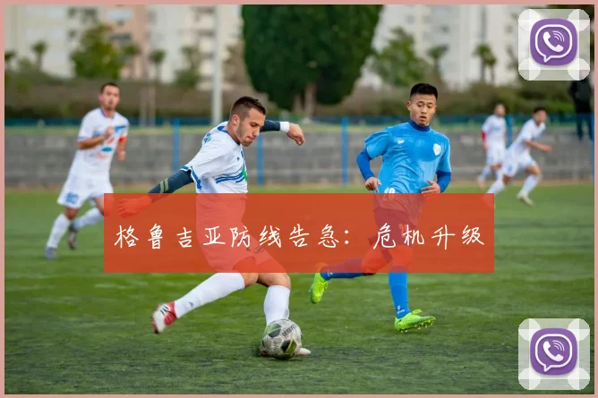 开云线上平台 - 格鲁吉亚防线告急：危机升级