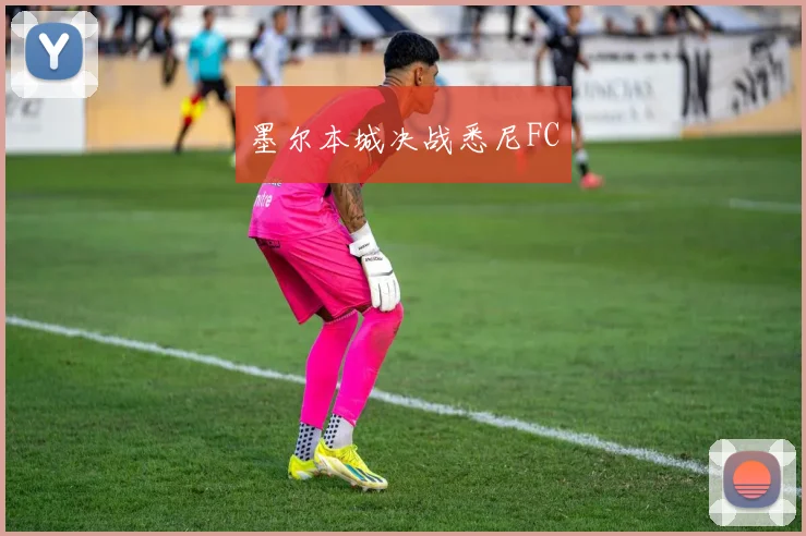 开云线上平台 - 墨尔本城决战悉尼FC