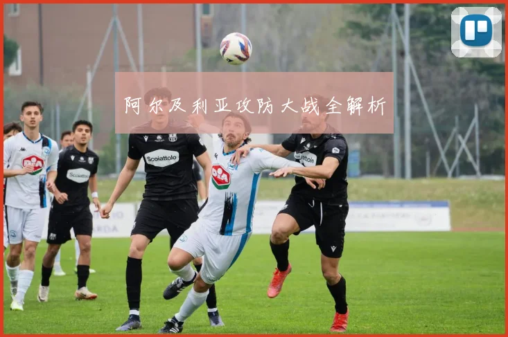 开云线上平台 - 阿尔及利亚攻防大战全解析