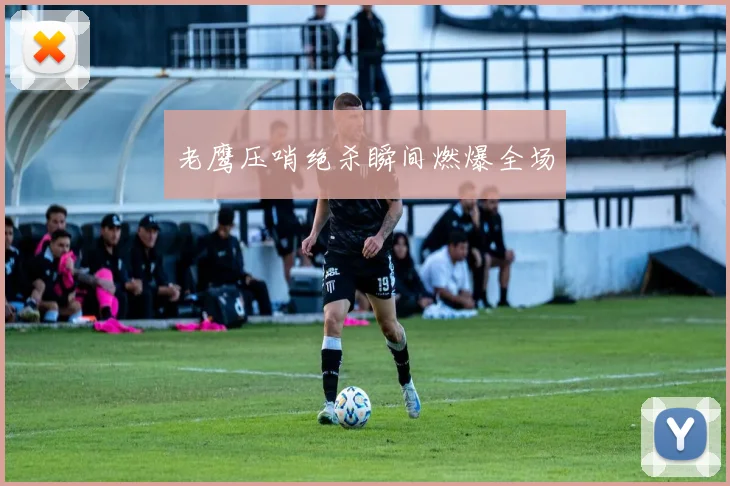 开云线上平台 - 老鹰压哨绝杀瞬间燃爆全场